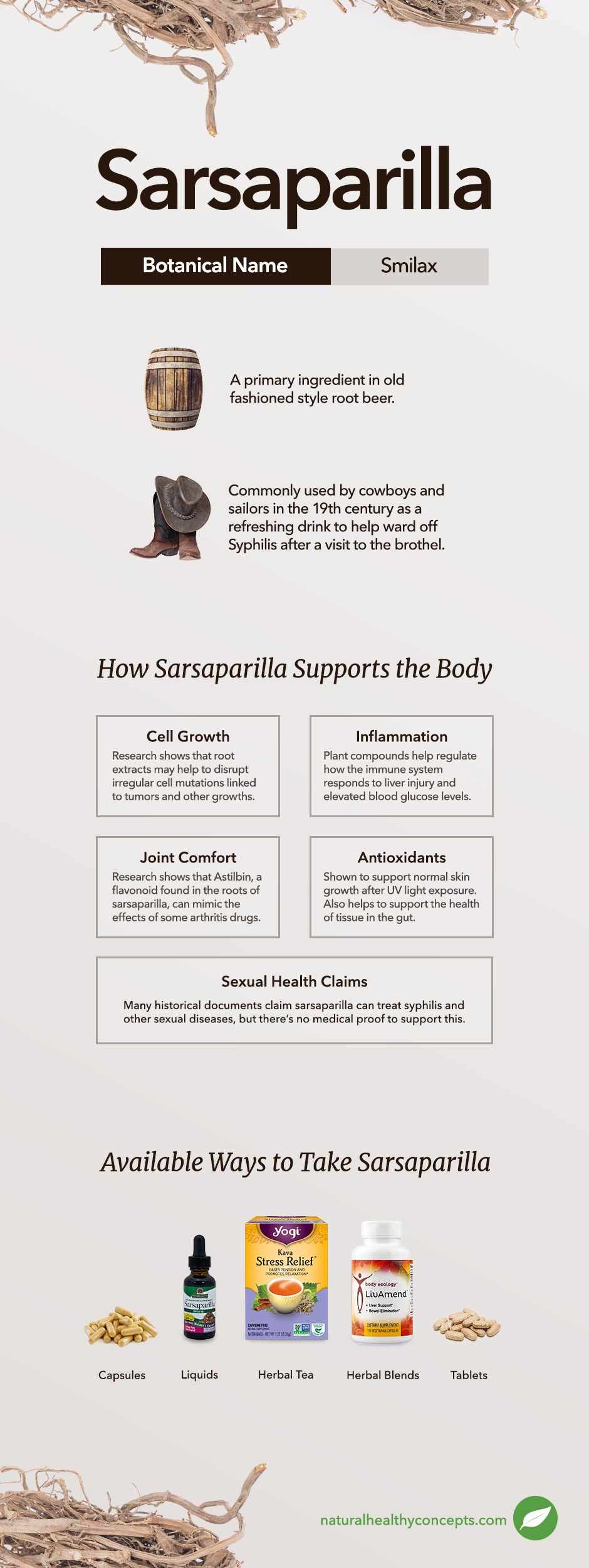sarsaparilla infographic